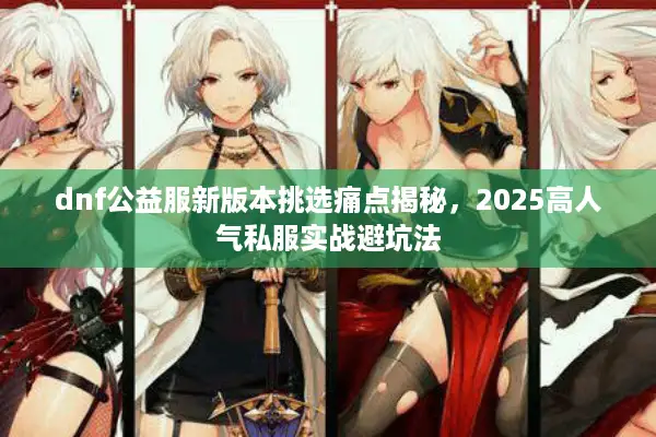 dnf公益服新版本挑选痛点揭秘，2025高人气私服实战避坑法