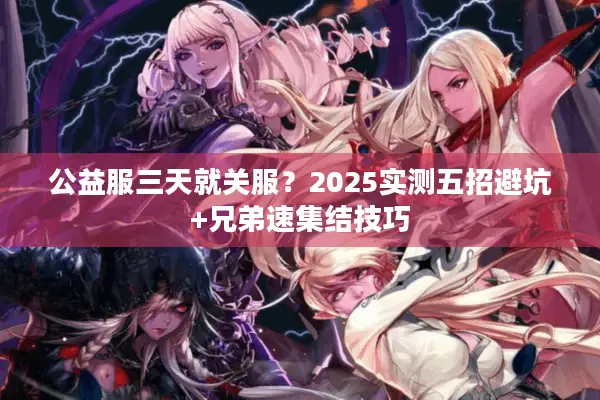 公益服三天就关服？2025实测五招避坑+兄弟速集结技巧