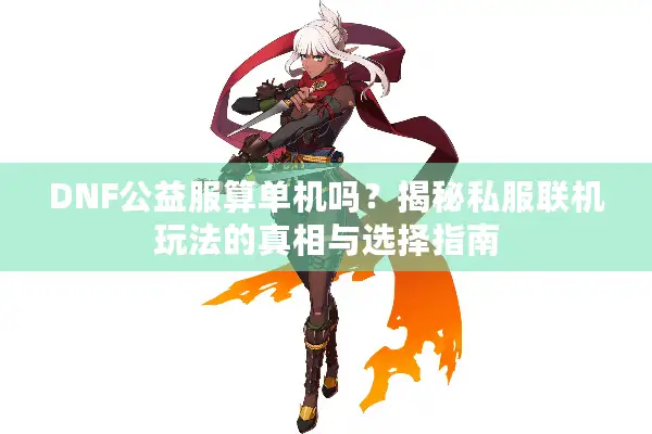 DNF公益服算单机吗？揭秘私服联机玩法的真相与选择指南