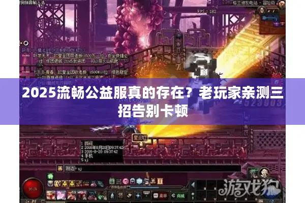 2025流畅公益服真的存在？老玩家亲测三招告别卡顿