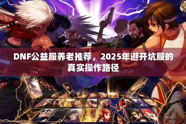 DNF公益服养老推荐，2025年避开坑服的真实操作路径