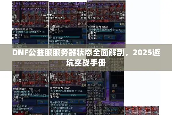 DNF公益服服务器状态全面解剖，2025避坑实战手册