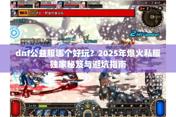 dnf公益服哪个好玩？2025年爆火私服独家秘笈与避坑指南