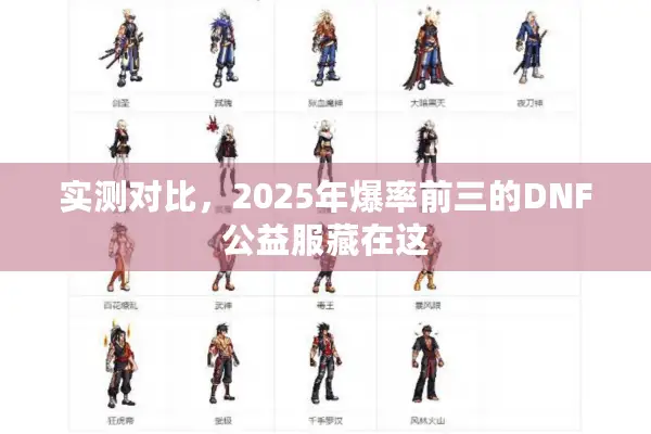 实测对比，2025年爆率前三的DNF公益服藏在这