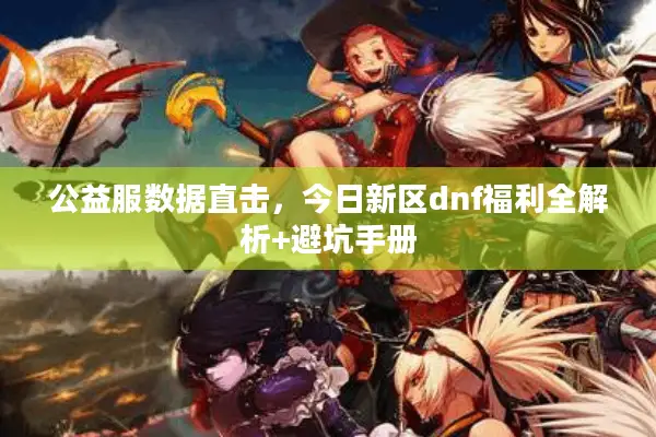 公益服数据直击，今日新区dnf福利全解析+避坑手册