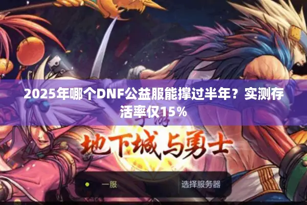 2025年哪个DNF公益服能撑过半年？实测存活率仅15%