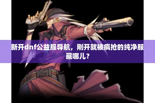 新开dnf公益服导航，刚开就被疯抢的纯净服藏哪儿？