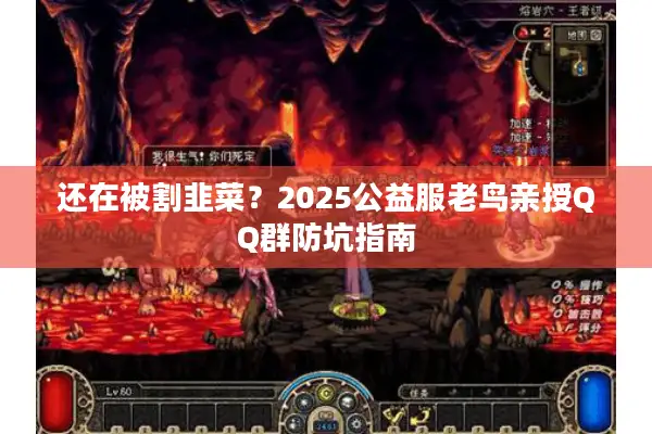 还在被割韭菜？2025公益服老鸟亲授QQ群防坑指南