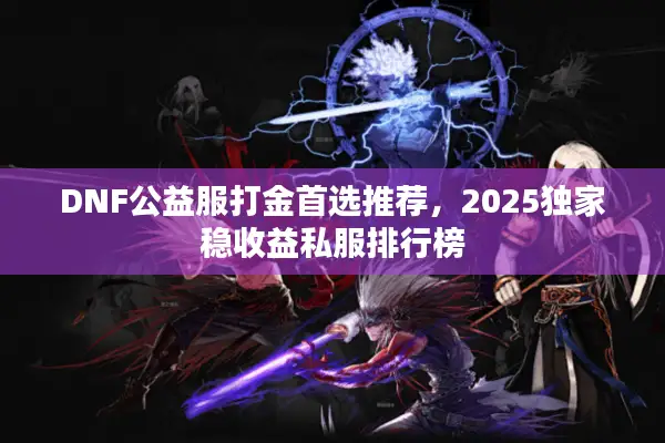 DNF公益服打金首选推荐，2025独家稳收益私服排行榜