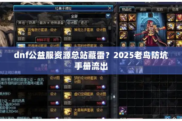dnf公益服资源总站藏雷？2025老鸟防坑手册流出
