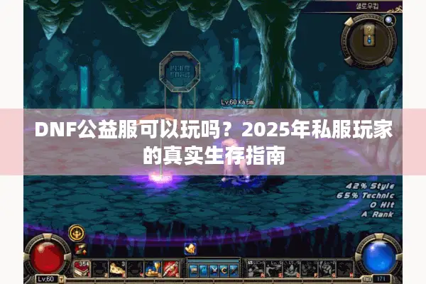 DNF公益服可以玩吗？2025年私服玩家的真实生存指南