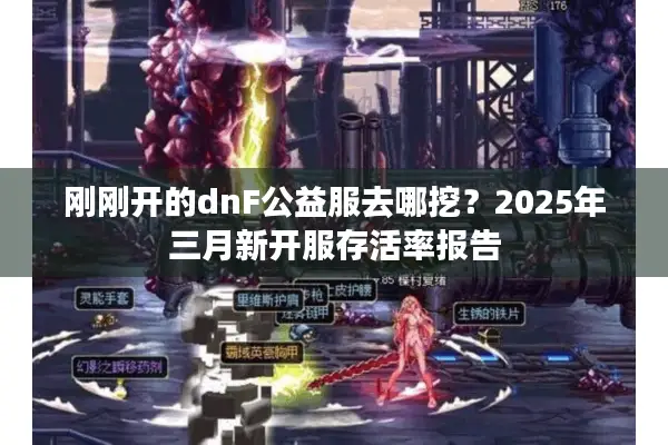 刚刚开的dnF公益服去哪挖？2025年三月新开服存活率报告