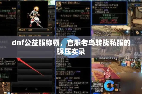 dnf公益服称霸，官服老鸟转战私服的碾压实录