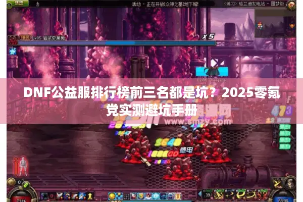 DNF公益服排行榜前三名都是坑？2025零氪党实测避坑手册