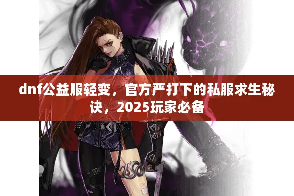 dnf公益服轻变，官方严打下的私服求生秘诀，2025玩家必备