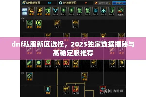 dnf私服新区选择，2025独家数据揭秘与高稳定服推荐