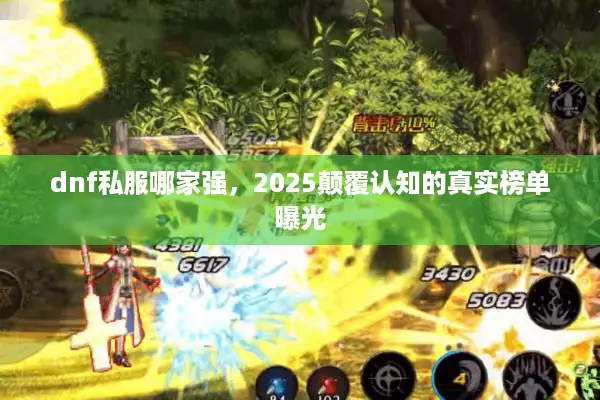 dnf私服哪家强，2025颠覆认知的真实榜单曝光