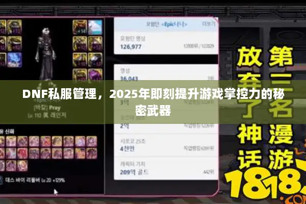 DNF私服管理，2025年即刻提升游戏掌控力的秘密武器