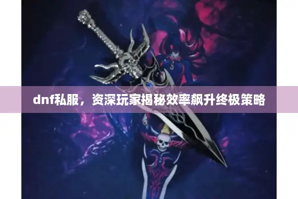 dnf私服，资深玩家揭秘效率飙升终极策略