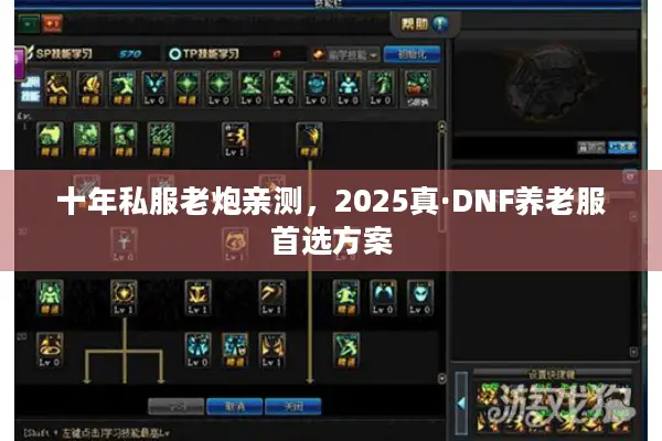 十年私服老炮亲测，2025真·DNF养老服首选方案