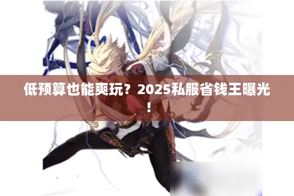 低预算也能爽玩？2025私服省钱王曝光！