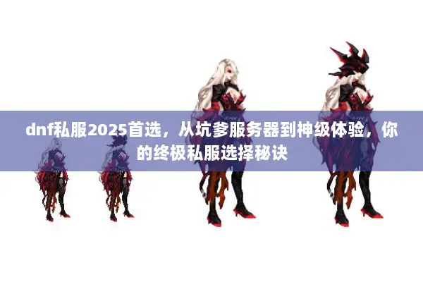 dnf私服2025首选，从坑爹服务器到神级体验，你的终极私服选择秘诀