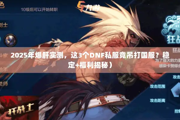 2025年爆肝实测，这3个DNF私服竟吊打国服？稳定+福利揭秘）