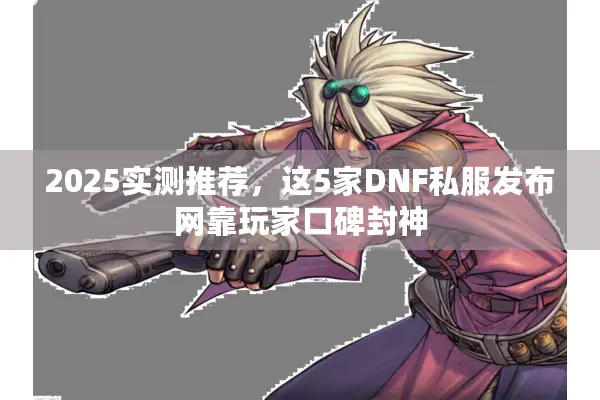 2025实测推荐，这5家DNF私服发布网靠玩家口碑封神