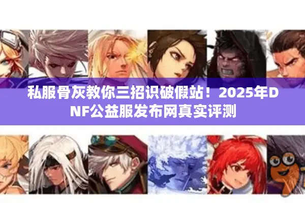 私服骨灰教你三招识破假站！2025年DNF公益服发布网真实评测