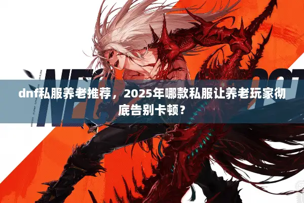 dnf私服养老推荐，2025年哪款私服让养老玩家彻底告别卡顿？