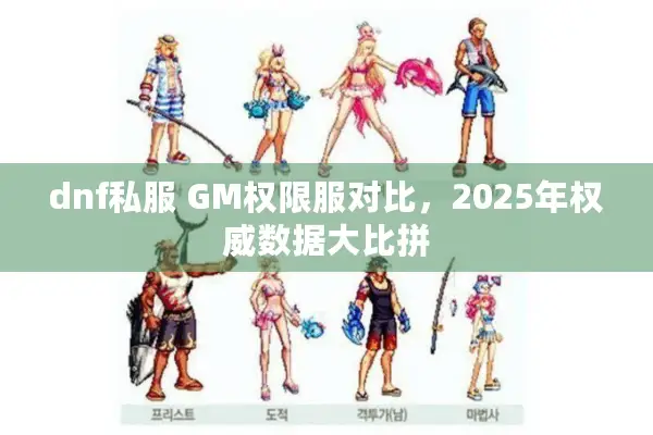 dnf私服 GM权限服对比，2025年权威数据大比拼
