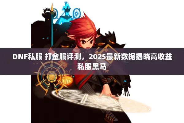 DNF私服 打金服评测，2025最新数据揭晓高收益私服黑马