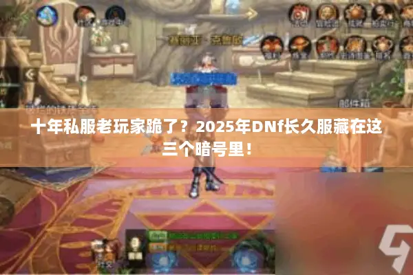 十年私服老玩家跪了？2025年DNf长久服藏在这三个暗号里！