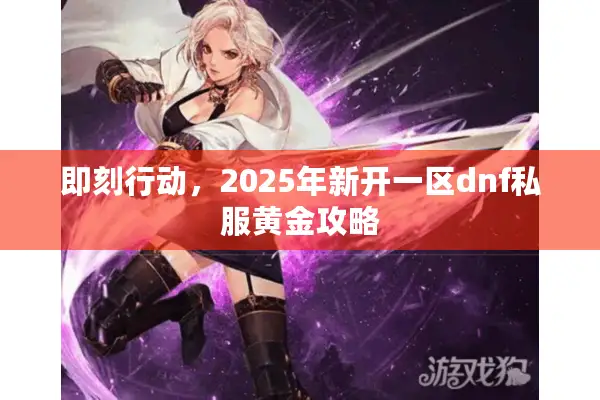 即刻行动，2025年新开一区dnf私服黄金攻略