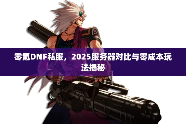 零氪DNF私服，2025服务器对比与零成本玩法揭秘