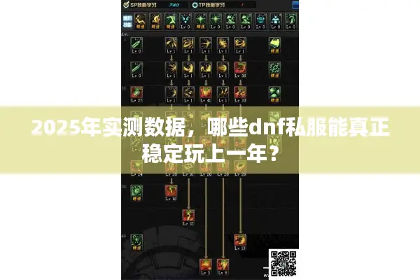 2025年实测数据，哪些dnf私服能真正稳定玩上一年？