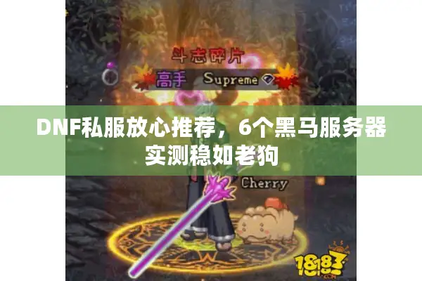 DNF私服放心推荐，6个黑马服务器实测稳如老狗
