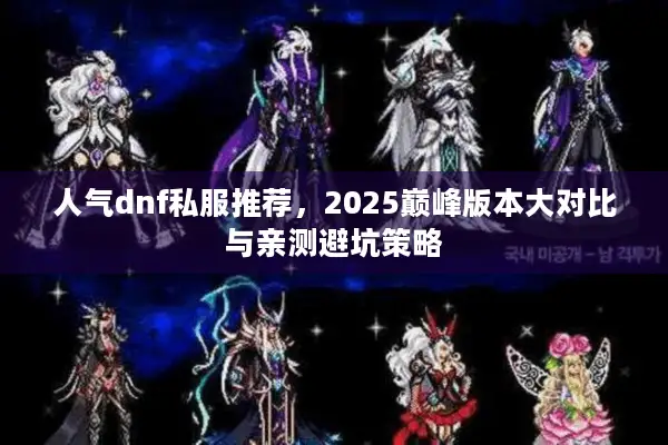 人气dnf私服推荐，2025巅峰版本大对比与亲测避坑策略