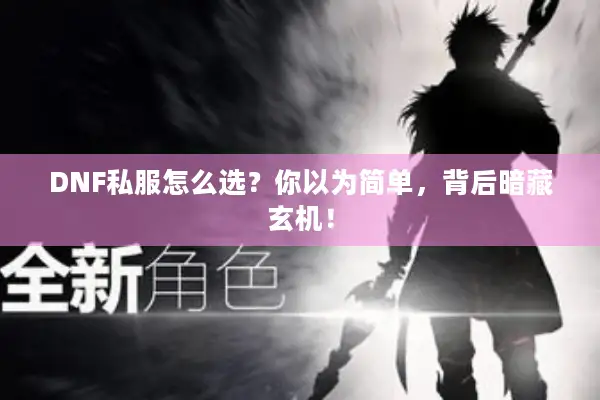 DNF私服怎么选？你以为简单，背后暗藏玄机！