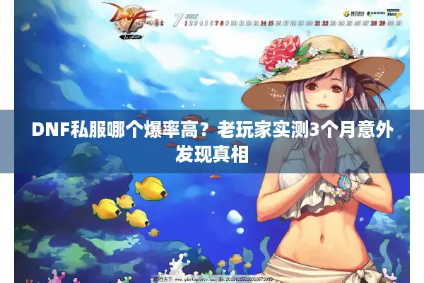 DNF私服哪个爆率高？老玩家实测3个月意外发现真相