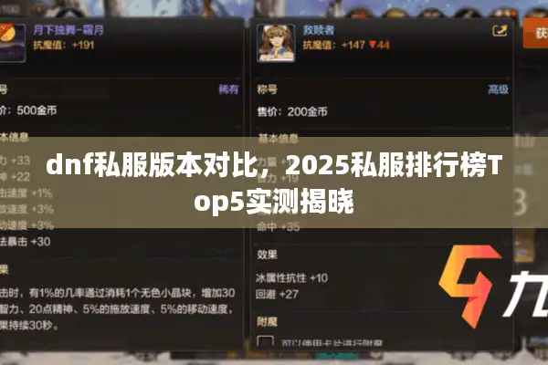 dnf私服版本对比，2025私服排行榜Top5实测揭晓