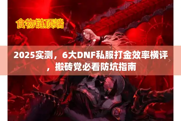 2025实测，6大DNF私服打金效率横评，搬砖党必看防坑指南