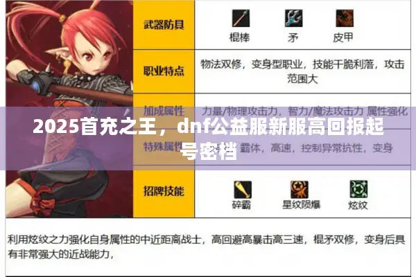 2025首充之王，dnf公益服新服高回报起号密档
