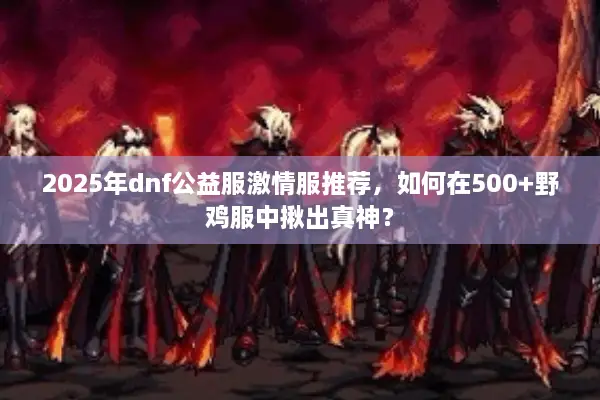2025年dnf公益服激情服推荐，如何在500+野鸡服中揪出真神？