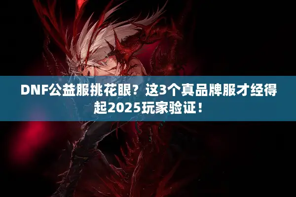 DNF公益服挑花眼？这3个真品牌服才经得起2025玩家验证！