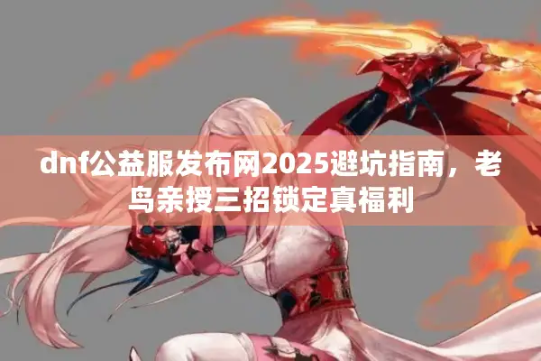 dnf公益服发布网2025避坑指南，老鸟亲授三招锁定真福利