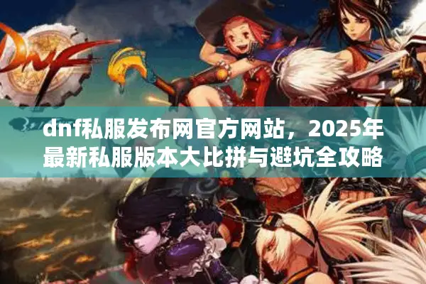 dnf私服发布网官方网站，2025年最新私服版本大比拼与避坑全攻略