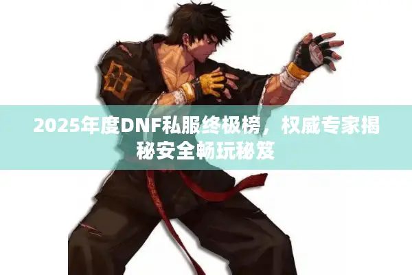 2025年度DNF私服终极榜，权威专家揭秘安全畅玩秘笈