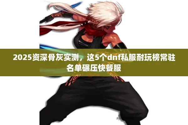 2025资深骨灰实测，这5个dnf私服耐玩榜常驻名单碾压快餐服