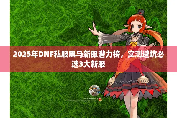 2025年DNF私服黑马新服潜力榜，实测避坑必选3大新服